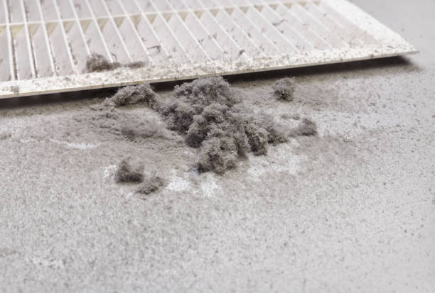 Best HVAC Maintenance and Cleaning  in Strawberry Plains, TN