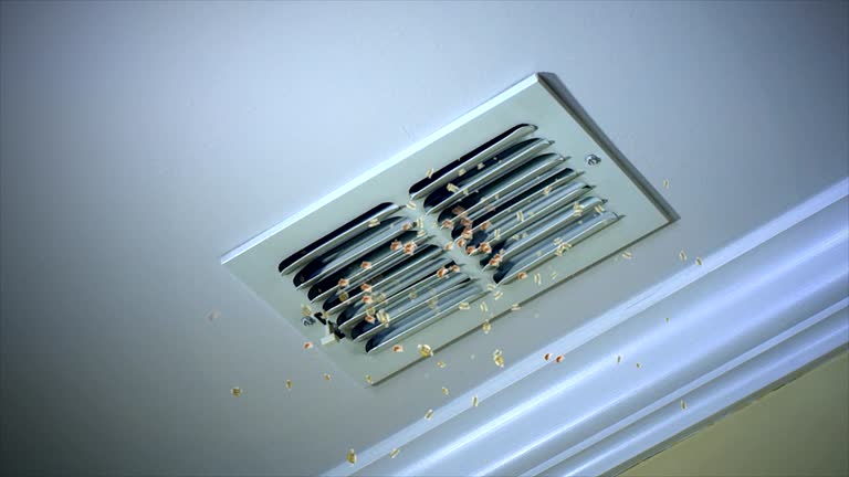 Best Local Air Duct Cleaning Services  in Strawberry Plains, TN