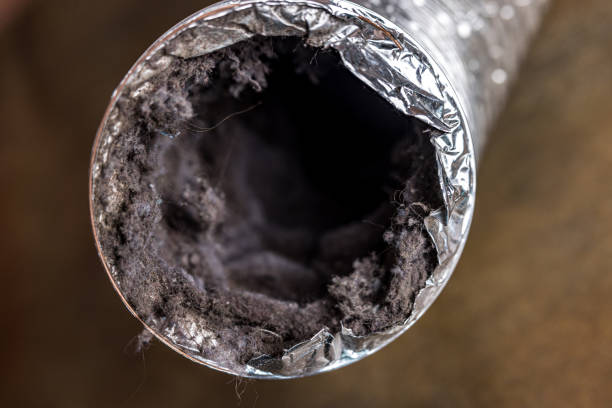 Best Air Duct Cleaning Near Me  in Strawberry Plains, TN